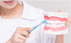 ブラッシング指導イメージ