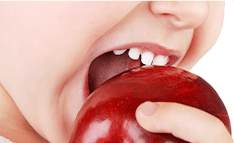 フッ素塗布イメージ